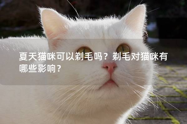 夏天猫咪可以剃毛吗？剃毛对猫咪有哪些影响？