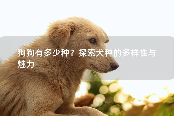 狗狗有多少种？探索犬种的多样性与魅力