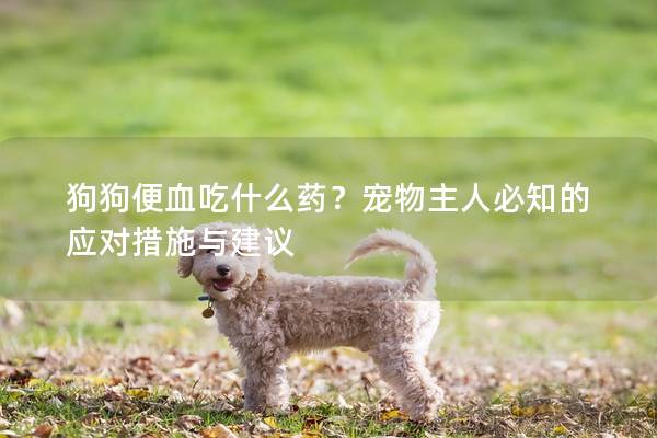 狗狗便血吃什么药？宠物主人必知的应对措施与建议