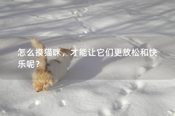 怎么摸猫咪，才能让它们更放松和快乐呢？