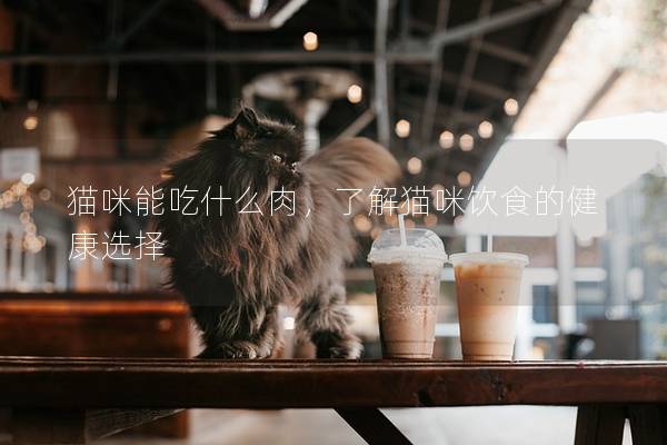 猫咪能吃什么肉，了解猫咪饮食的健康选择