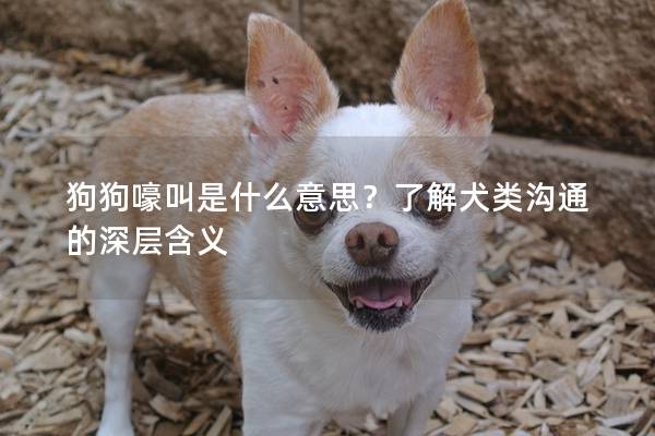 狗狗嚎叫是什么意思？了解犬类沟通的深层含义