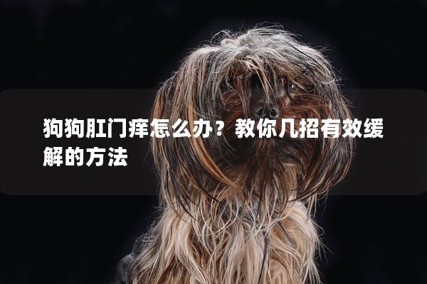 狗狗肛门痒怎么办？教你几招有效缓解的方法