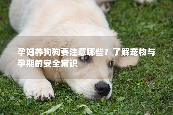 孕妇养狗狗要注意哪些？了解宠物与孕期的安全常识