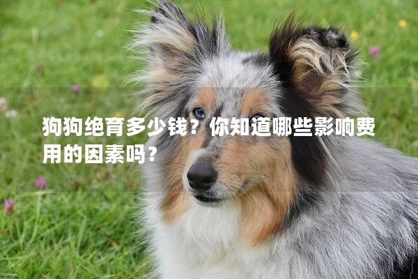 狗狗绝育多少钱？你知道哪些影响费用的因素吗？