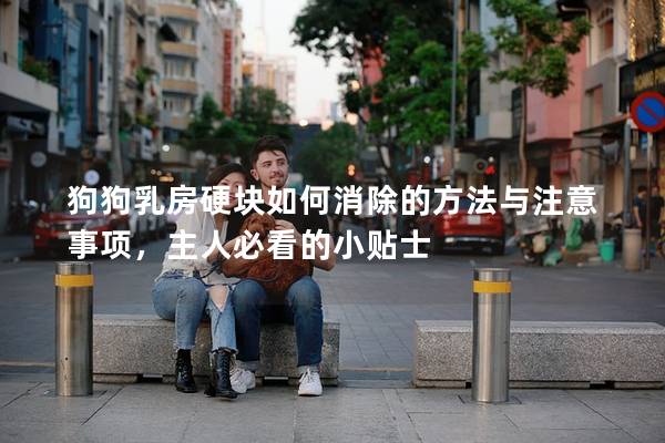 狗狗乳房硬块如何消除的方法与注意事项，主人必看的小贴士