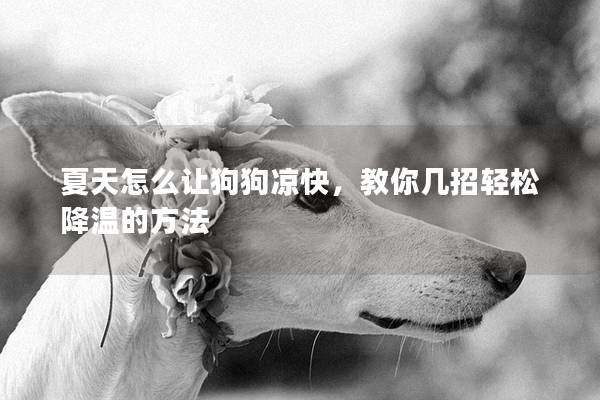 夏天怎么让狗狗凉快，教你几招轻松降温的方法