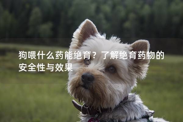 狗喂什么药能绝育？了解绝育药物的安全性与效果