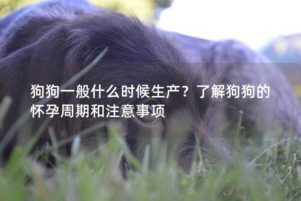 狗狗一般什么时候生产？了解狗狗的怀孕周期和注意事项