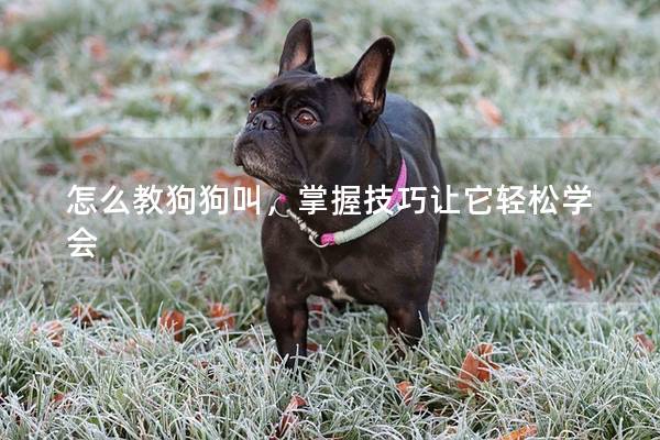 怎么教狗狗叫，掌握技巧让它轻松学会