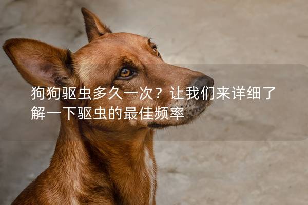 狗狗驱虫多久一次？让我们来详细了解一下驱虫的最佳频率