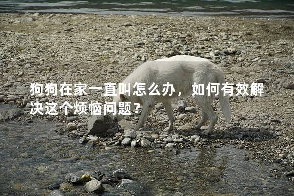 狗狗在家一直叫怎么办，如何有效解决这个烦恼问题？