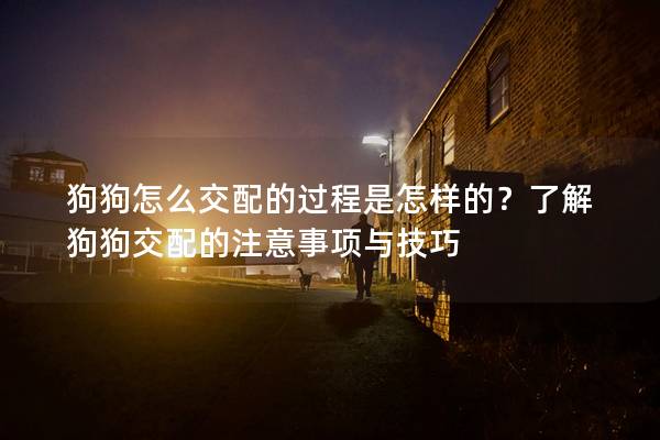 狗狗怎么交配的过程是怎样的？了解狗狗交配的注意事项与技巧