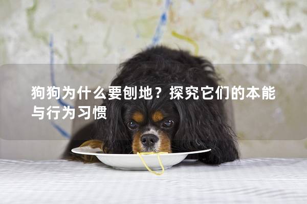 狗狗为什么要刨地？探究它们的本能与行为习惯