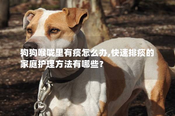 狗狗喉咙里有痰怎么办,快速排痰的家庭护理方法有哪些？
