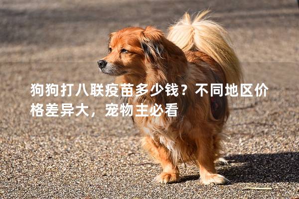 狗狗打八联疫苗多少钱？不同地区价格差异大，宠物主必看