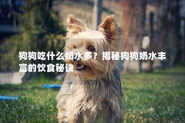 狗狗吃什么奶水多？揭秘狗狗奶水丰富的饮食秘诀