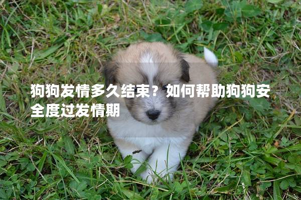 狗狗发情多久结束？如何帮助狗狗安全度过发情期