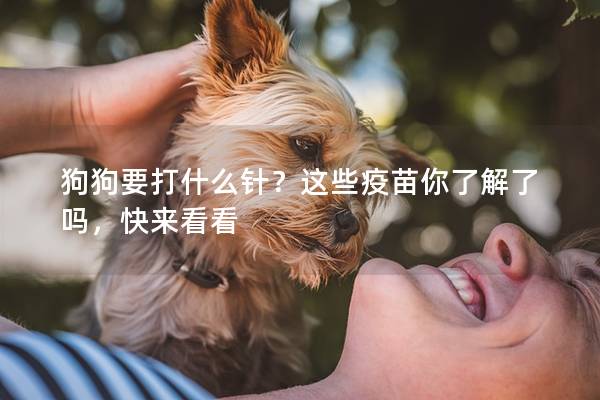 狗狗要打什么针？这些疫苗你了解了吗，快来看看