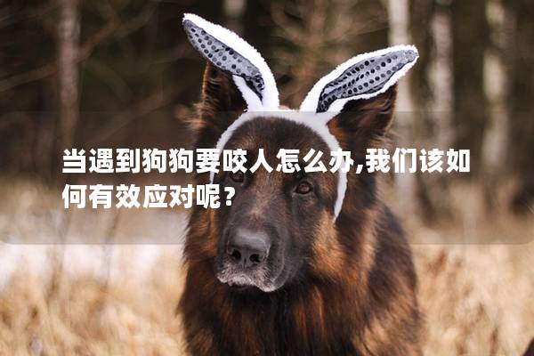 当遇到狗狗要咬人怎么办,我们该如何有效应对呢？