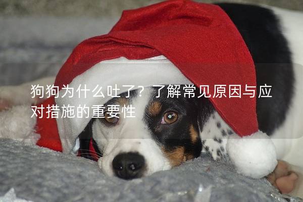 狗狗为什么吐了？了解常见原因与应对措施的重要性