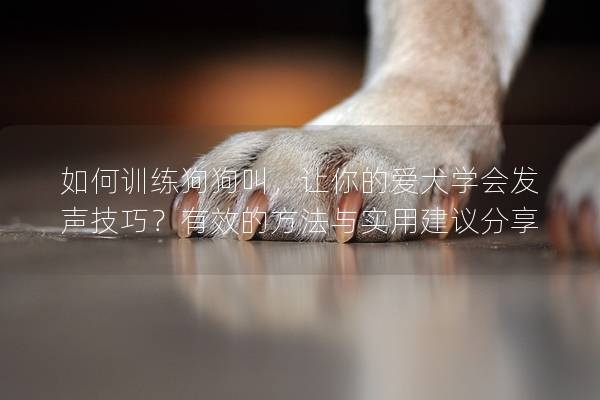如何训练狗狗叫，让你的爱犬学会发声技巧？有效的方法与实用建议分享