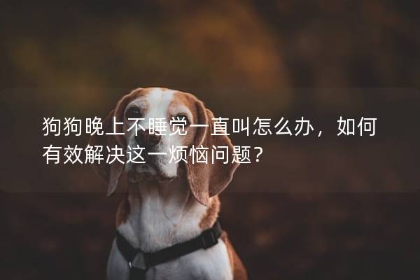 狗狗晚上不睡觉一直叫怎么办，如何有效解决这一烦恼问题？