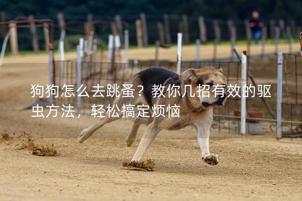 狗狗怎么去跳蚤？教你几招有效的驱虫方法，轻松搞定烦恼