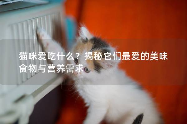 猫咪爱吃什么？揭秘它们最爱的美味食物与营养需求