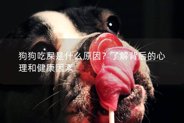 狗狗吃屎是什么原因？了解背后的心理和健康因素
