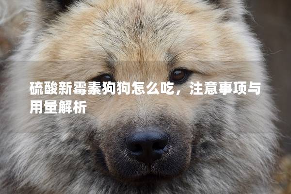 硫酸新霉素狗狗怎么吃，注意事项与用量解析