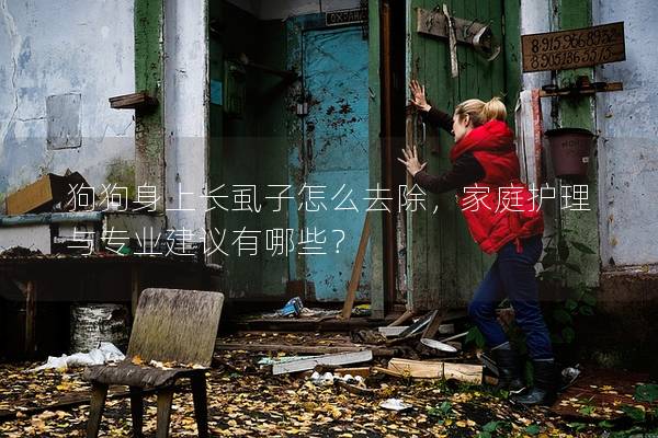 狗狗身上长虱子怎么去除，家庭护理与专业建议有哪些？