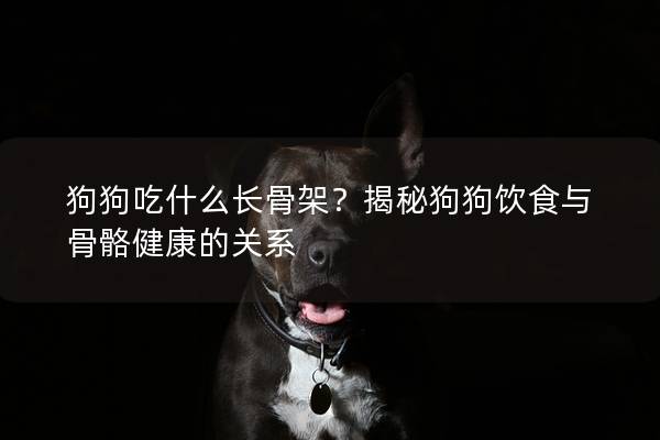 狗狗吃什么长骨架？揭秘狗狗饮食与骨骼健康的关系