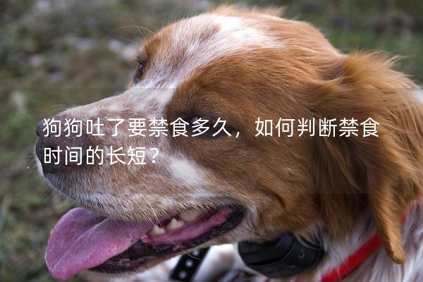 狗狗吐了要禁食多久，如何判断禁食时间的长短？