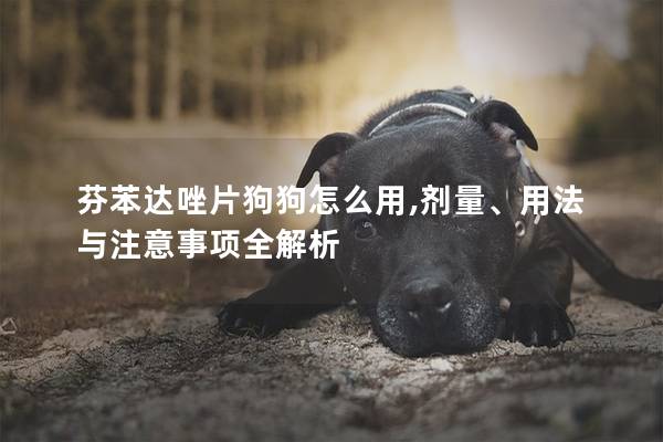 芬苯达唑片狗狗怎么用,剂量、用法与注意事项全解析