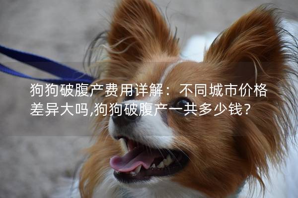 狗狗破腹产费用详解：不同城市价格差异大吗,狗狗破腹产一共多少钱？