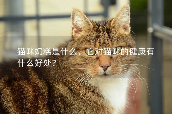 猫咪奶糕是什么，它对猫咪的健康有什么好处？