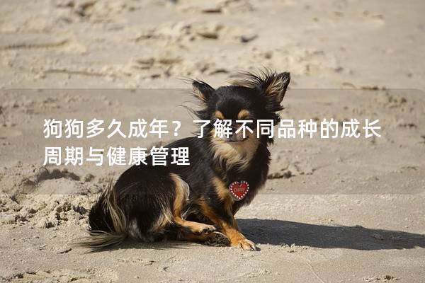 狗狗多久成年？了解不同品种的成长周期与健康管理