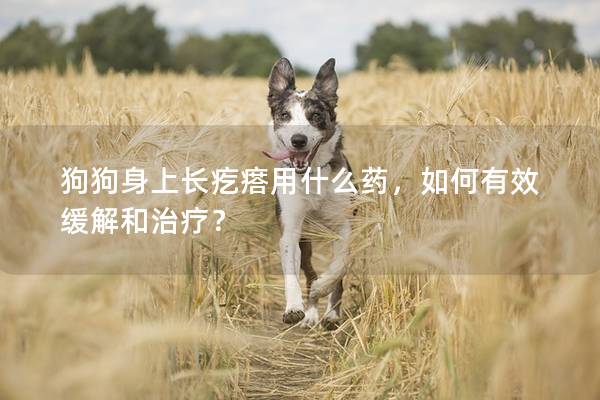 狗狗身上长疙瘩用什么药，如何有效缓解和治疗？