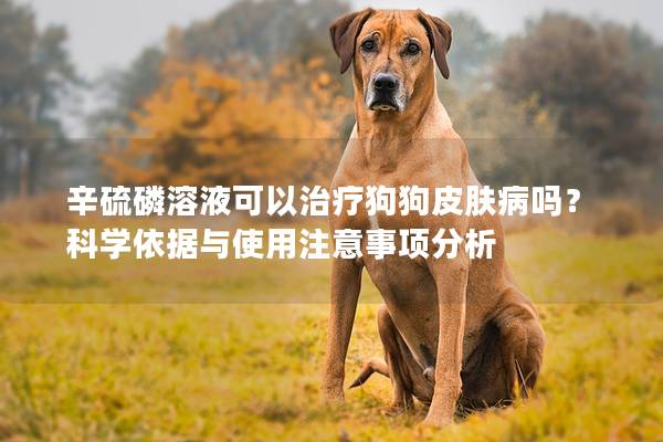 辛硫磷溶液可以治疗狗狗皮肤病吗？科学依据与使用注意事项分析