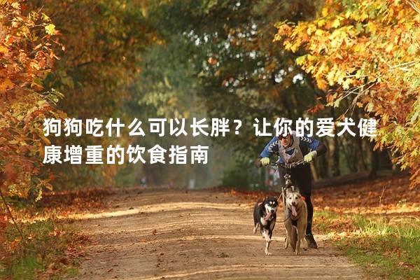 狗狗吃什么可以长胖？让你的爱犬健康增重的饮食指南