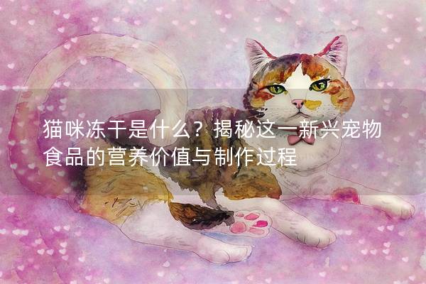 猫咪冻干是什么？揭秘这一新兴宠物食品的营养价值与制作过程