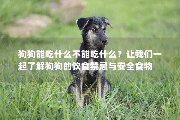 狗狗能吃什么不能吃什么？让我们一起了解狗狗的饮食禁忌与安全食物