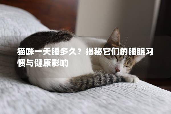 猫咪一天睡多久？揭秘它们的睡眠习惯与健康影响