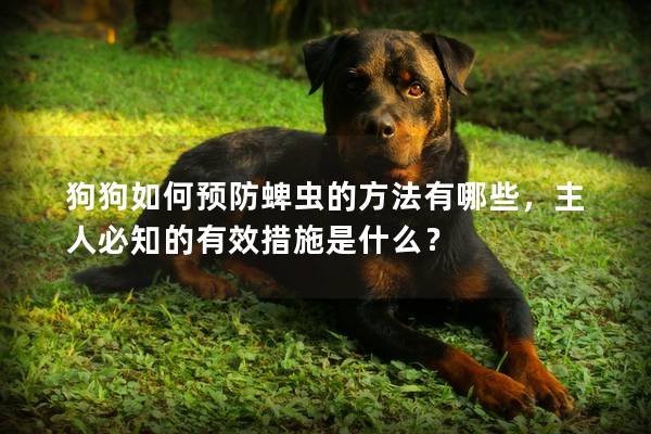 狗狗如何预防蜱虫的方法有哪些，主人必知的有效措施是什么？