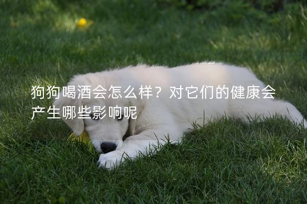 狗狗喝酒会怎么样？对它们的健康会产生哪些影响呢