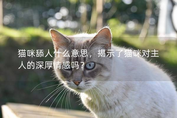 猫咪舔人什么意思，揭示了猫咪对主人的深厚情感吗？