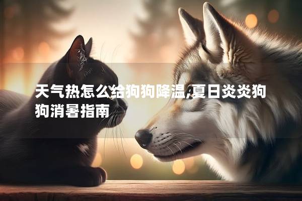 天气热怎么给狗狗降温,夏日炎炎狗狗消暑指南