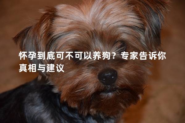 怀孕到底可不可以养狗？专家告诉你真相与建议