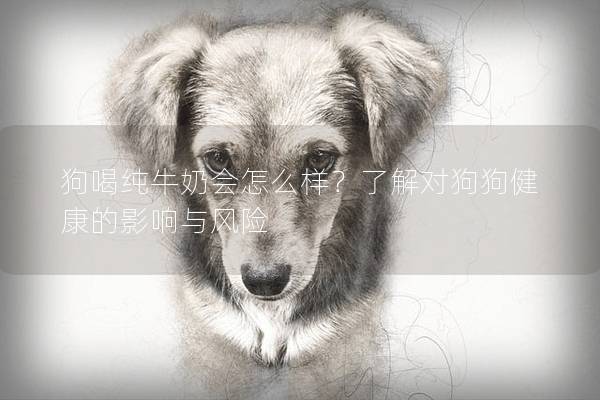 狗喝纯牛奶会怎么样？了解对狗狗健康的影响与风险